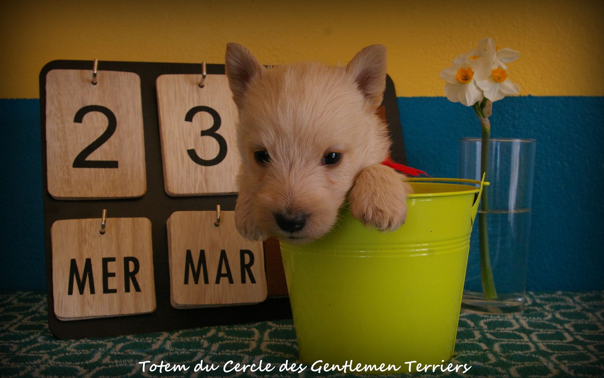1 mois