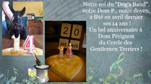 Anniversaire Dom Pe 14ans