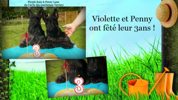Anniversaire Violette et Penny3 ans