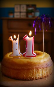 Anniversaire Gatsby 11 ans 4