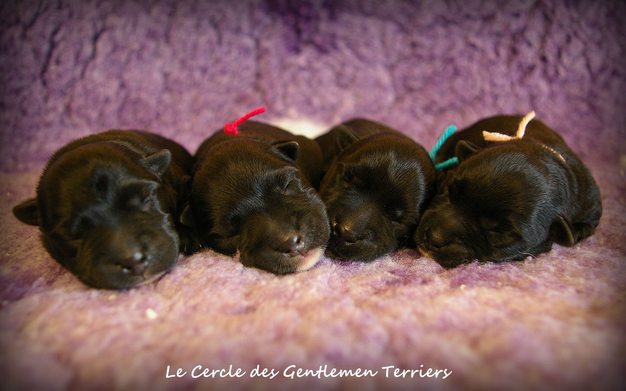 2 jours