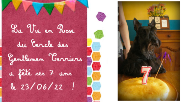 anniv rose 7 ans