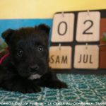 1 mois