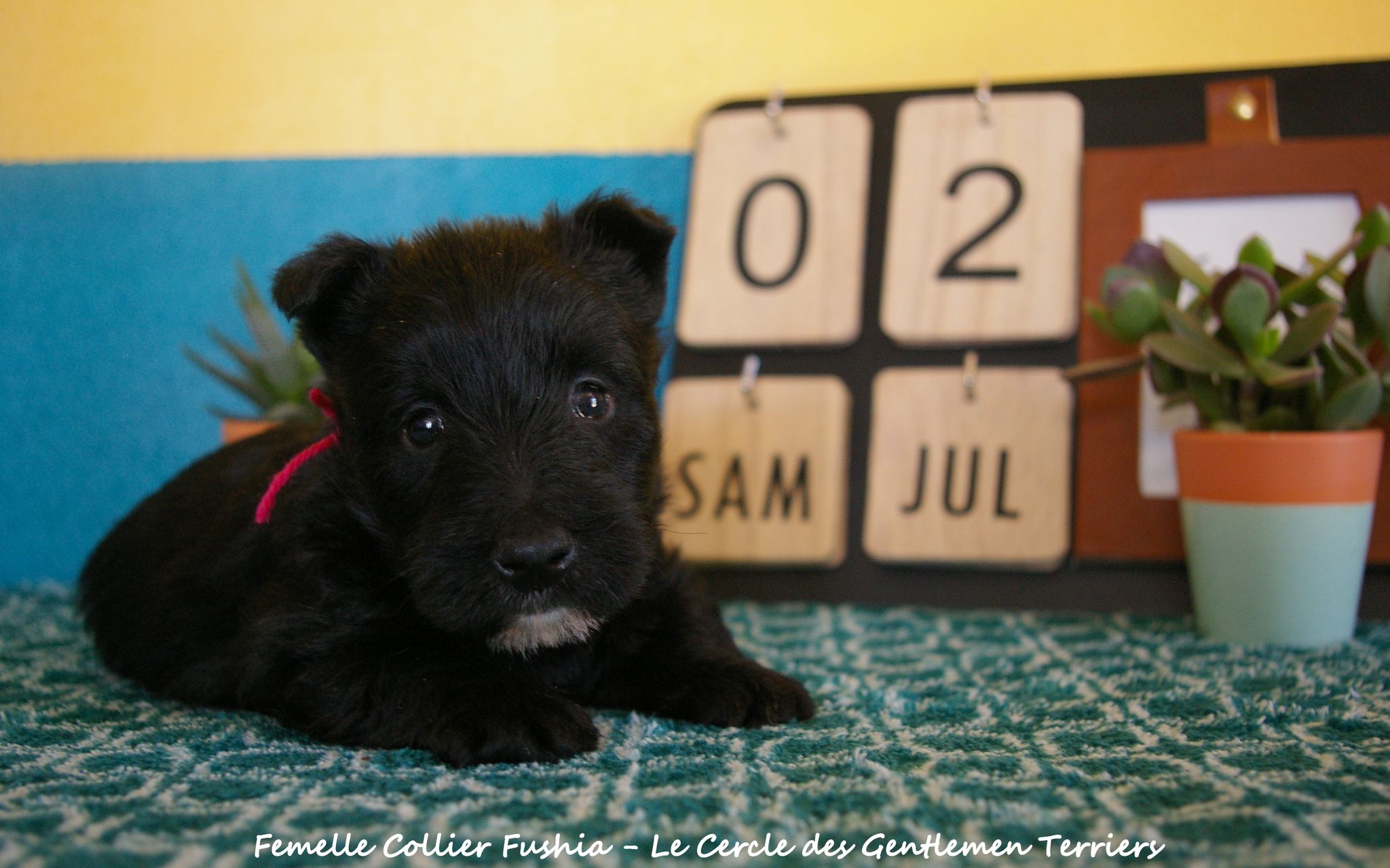 1 mois