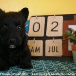 1 mois