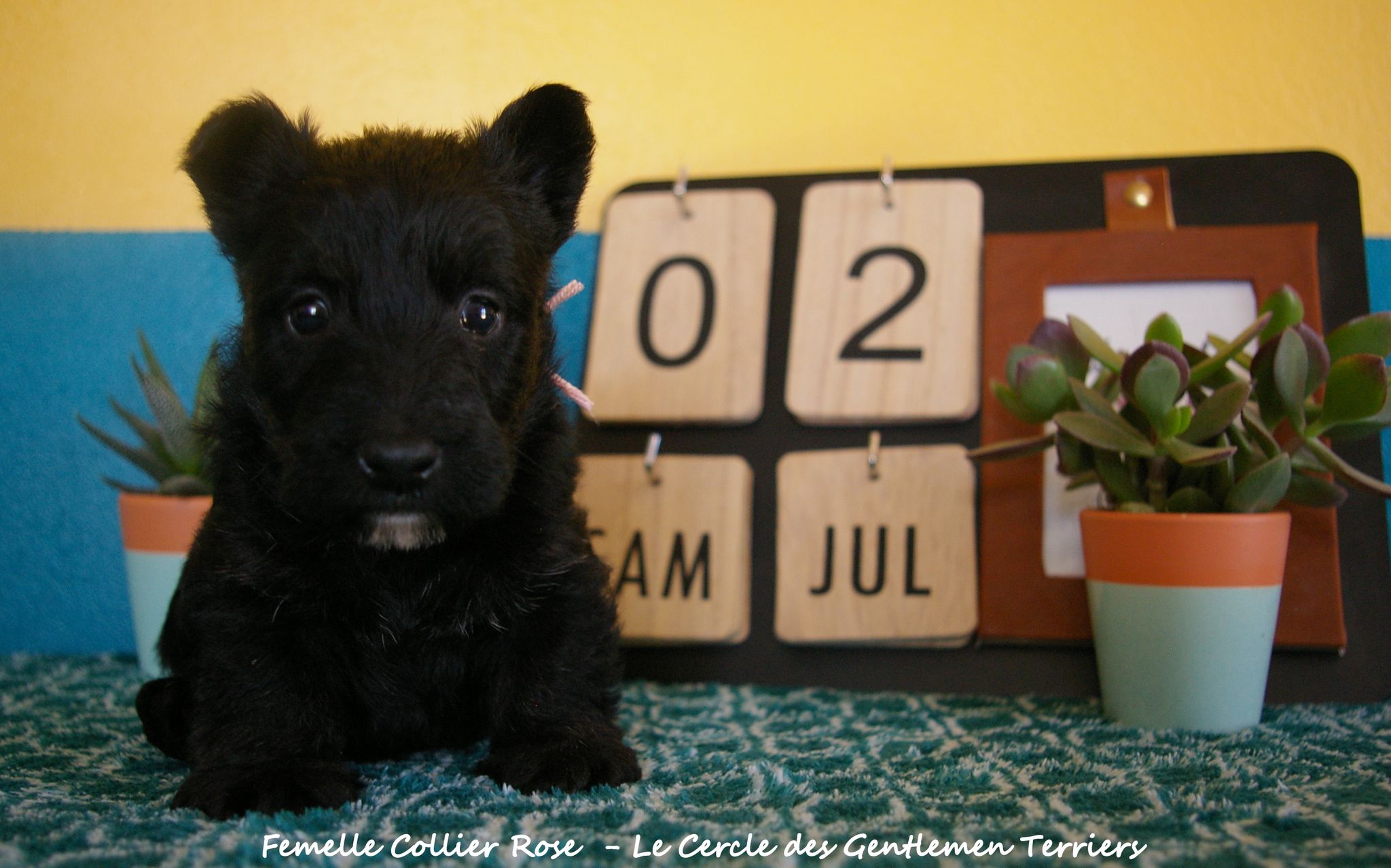 1 mois