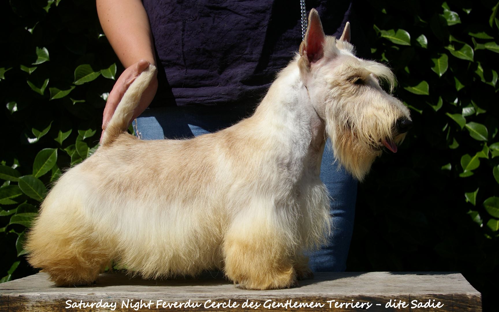 _copie-0_sadie juillet 2022