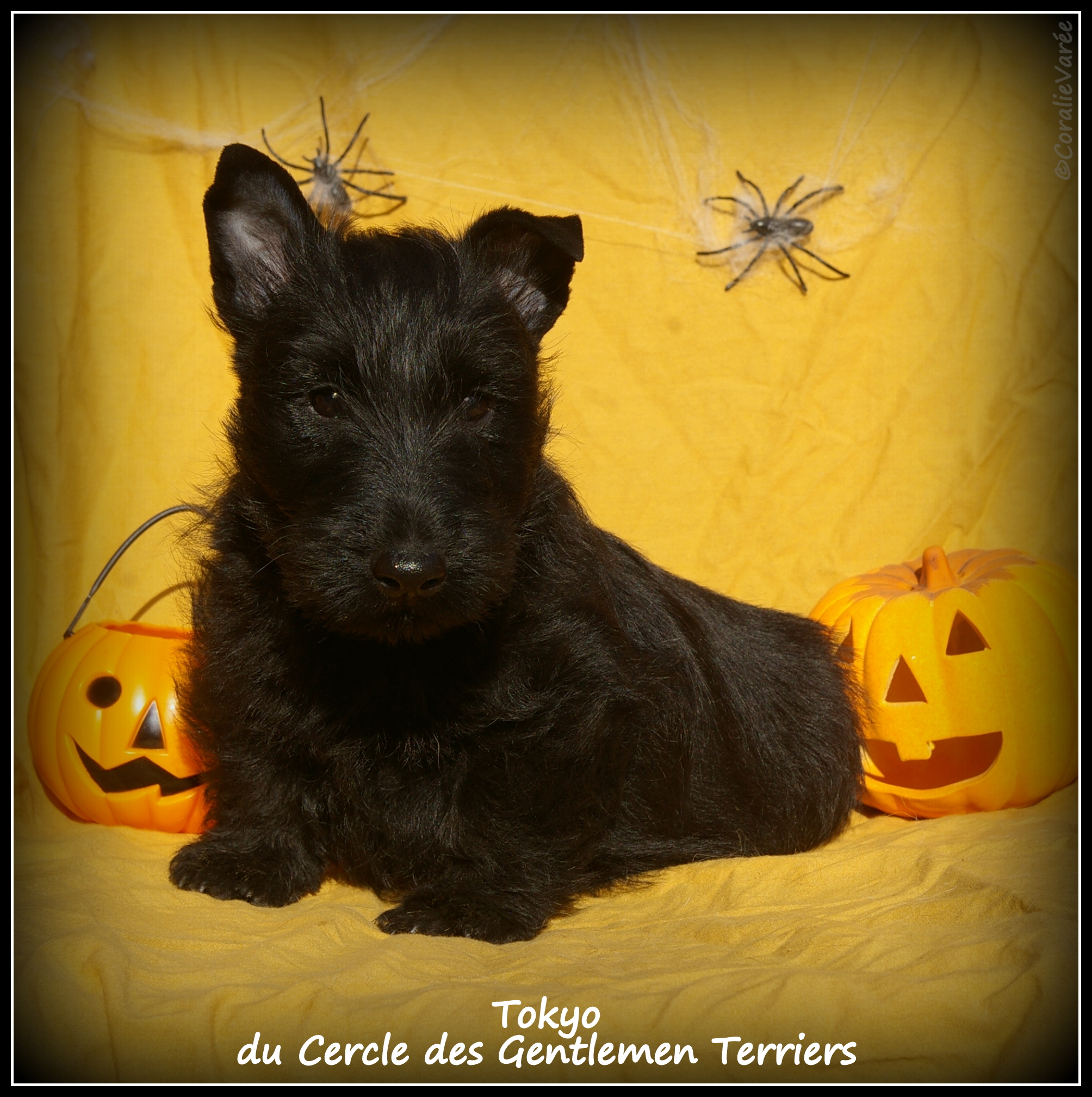 2 mois