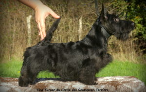 Tina 4 mois