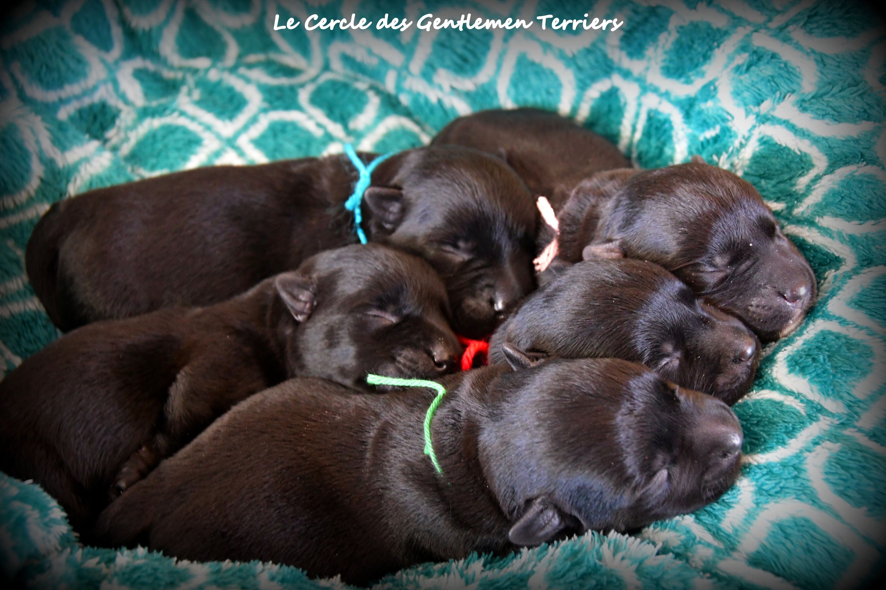 2 jours