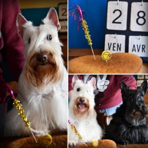 Anniversaire Octavia 5 ans