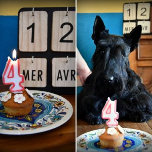 Anniversaire Penny 4 ans