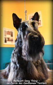 Rocco 6 ans