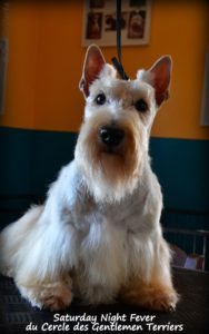 Sadie 2 ans