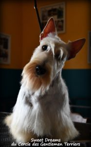 Sweetie 2 ans