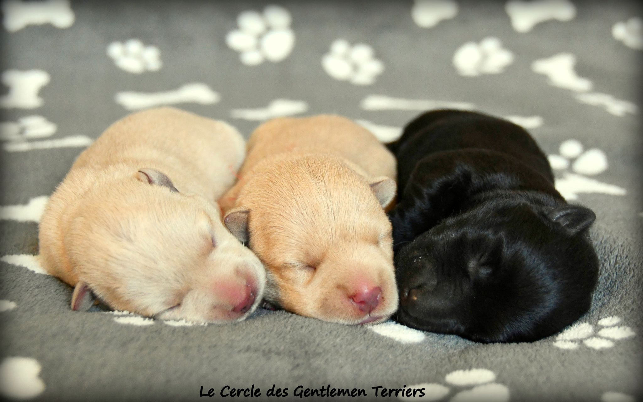2 jours