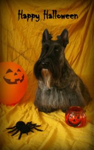 Happy halloween 2023