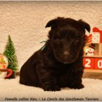 1 mois