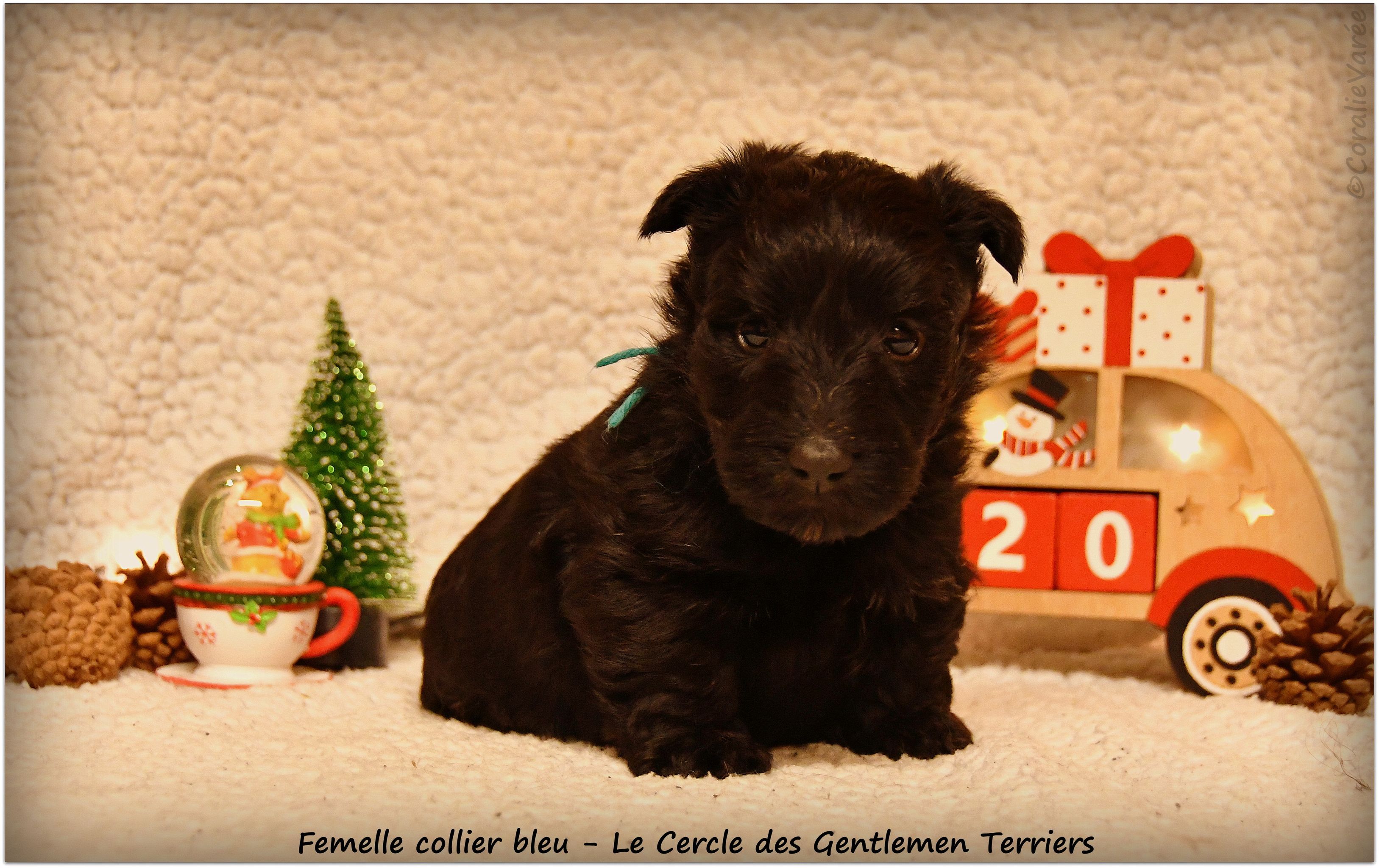1 mois
