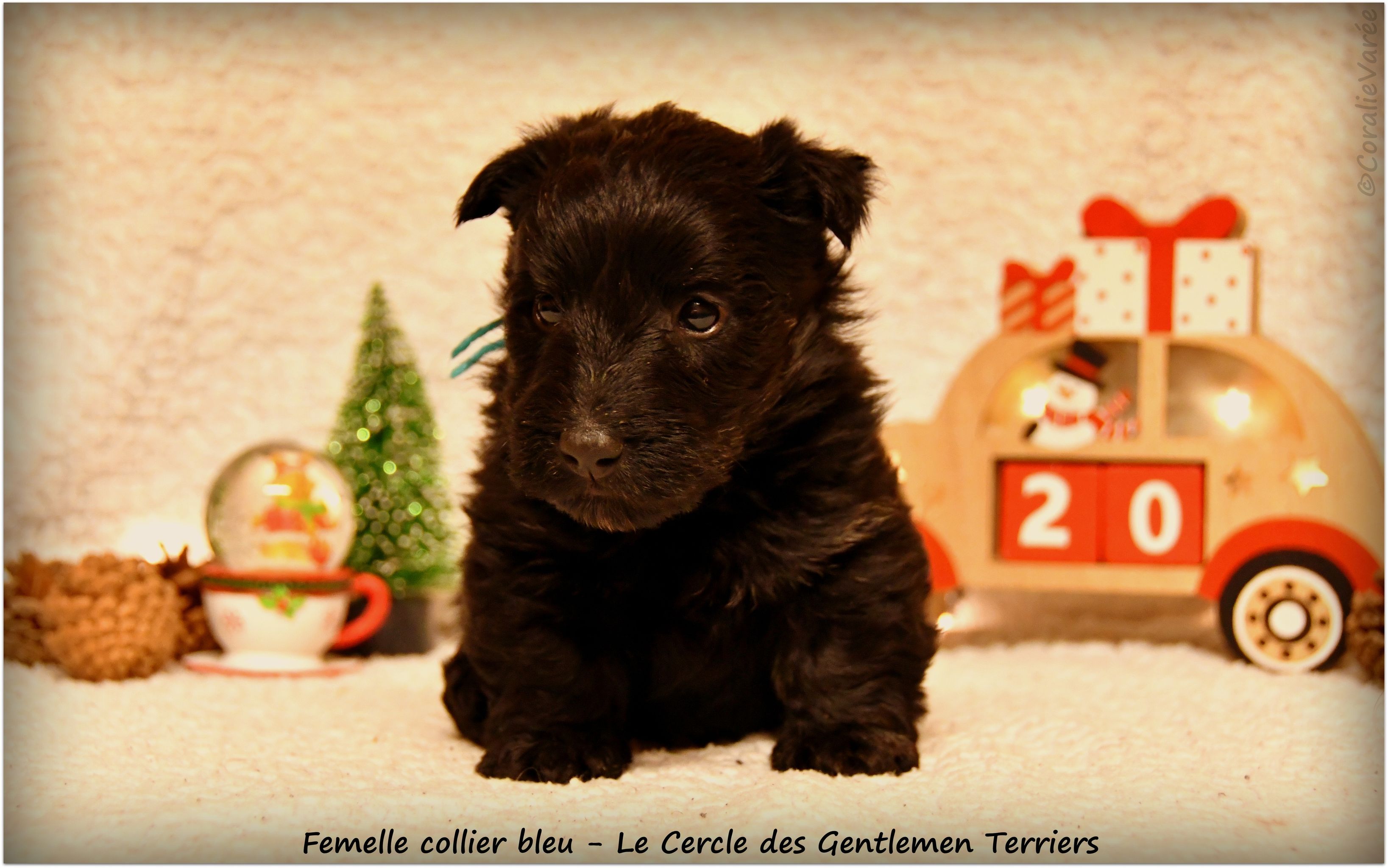 1 mois