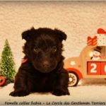 1 mois