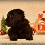 1 mois