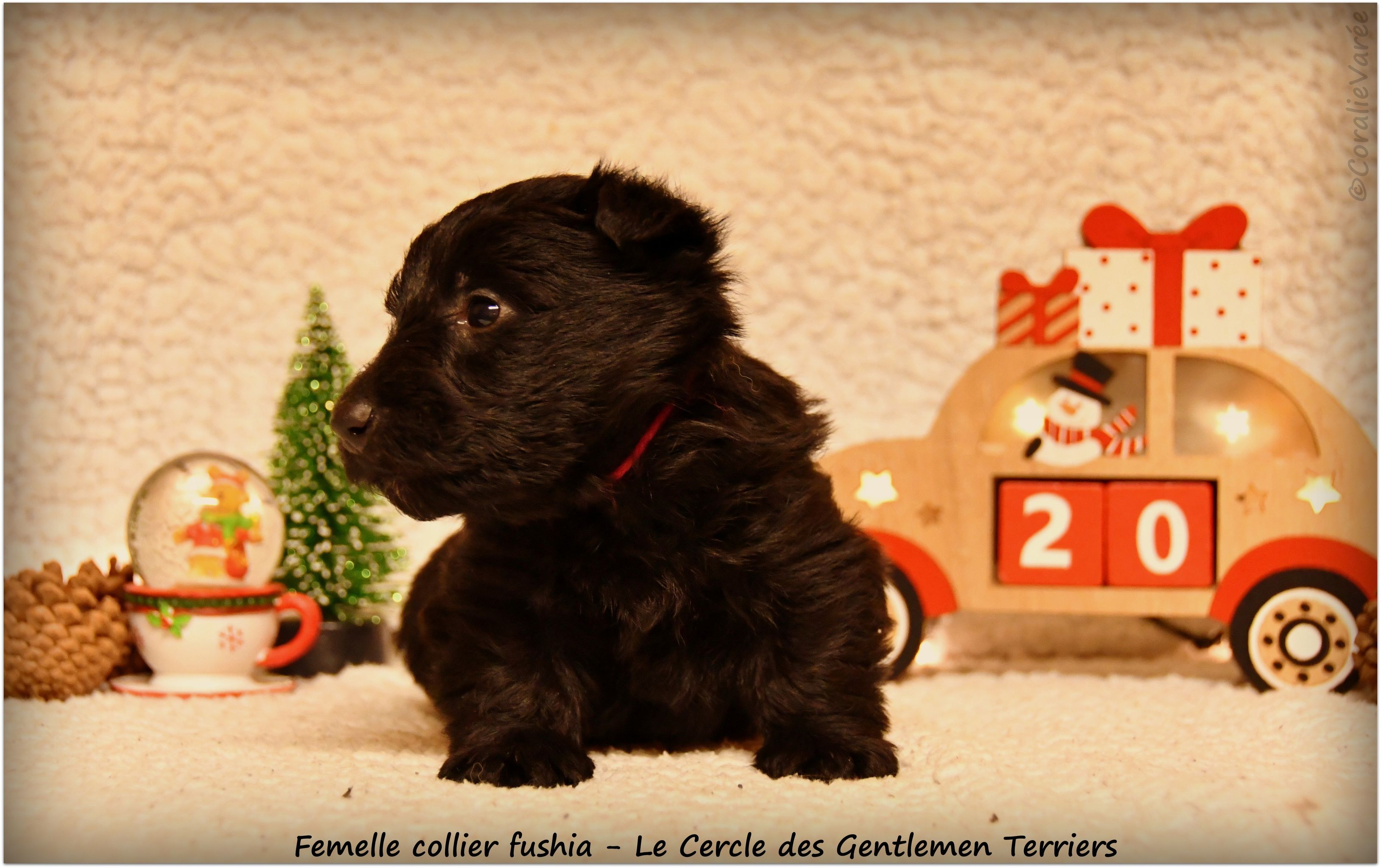 1 mois