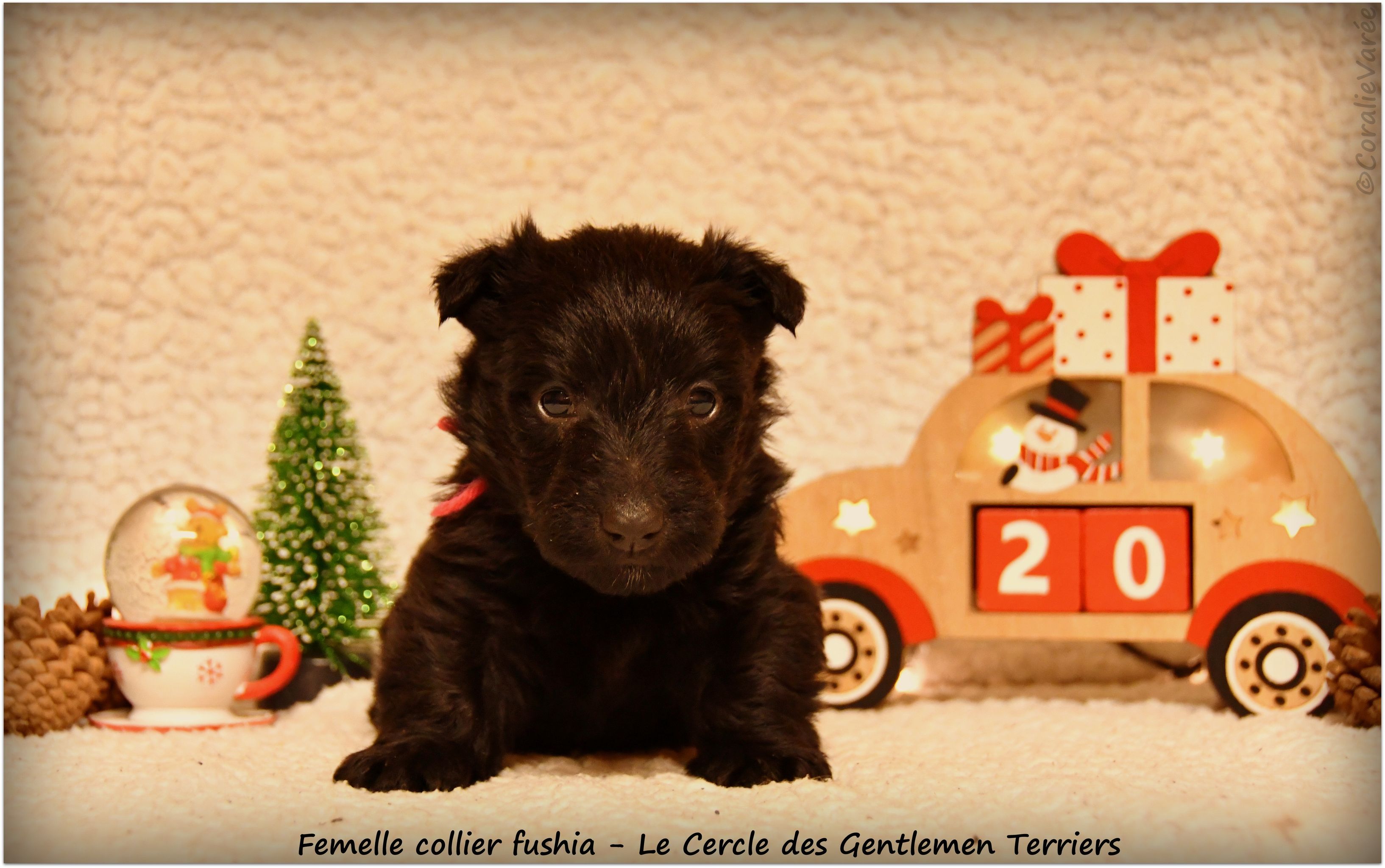 1 mois