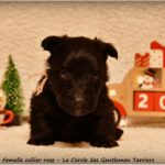 1 mois