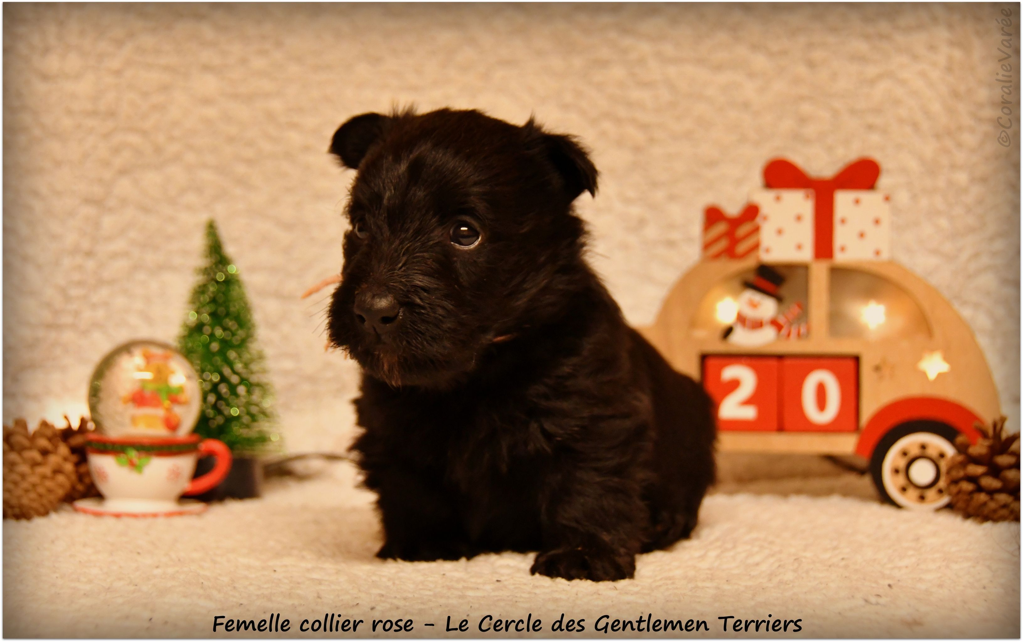 1 mois