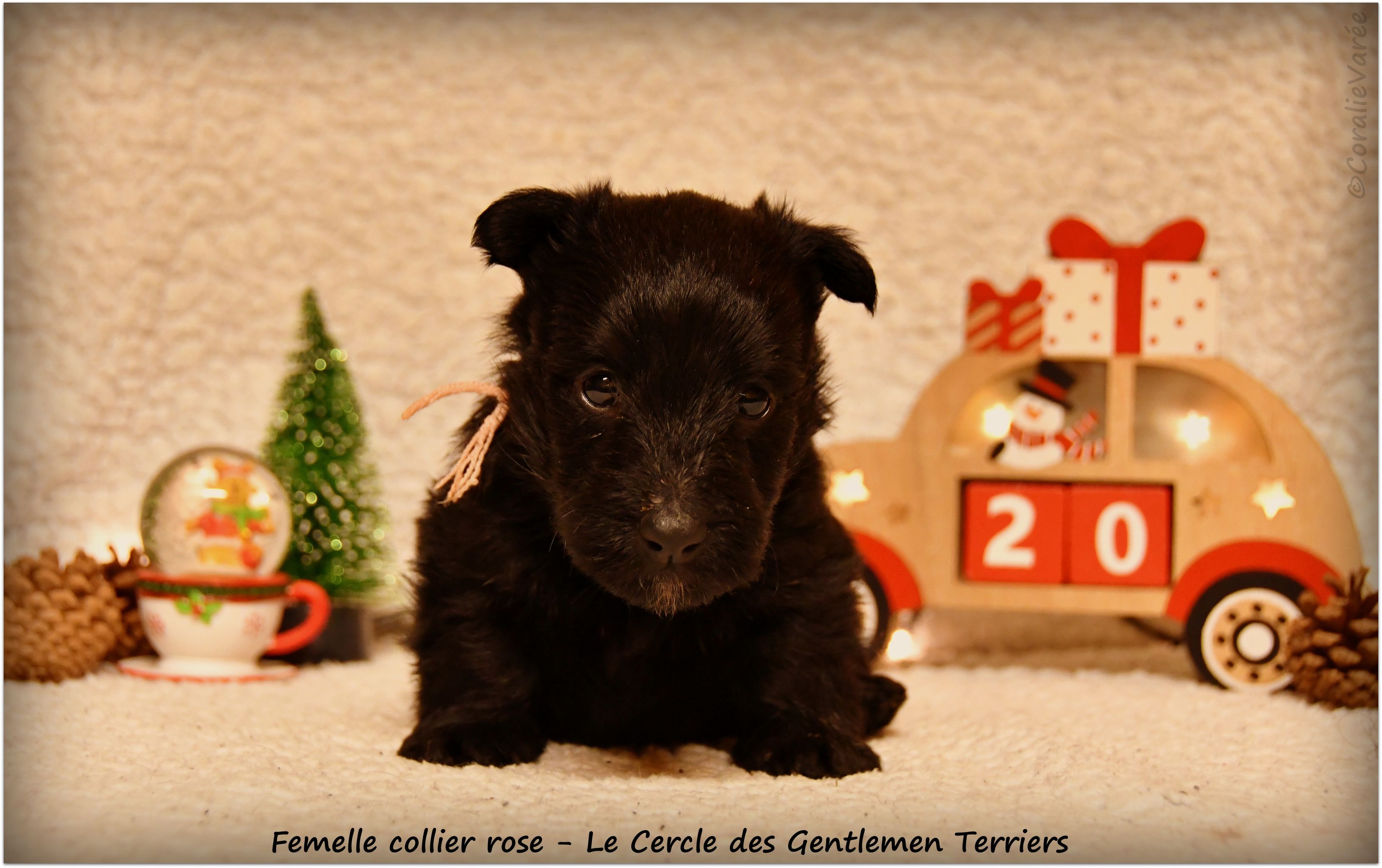 1 mois