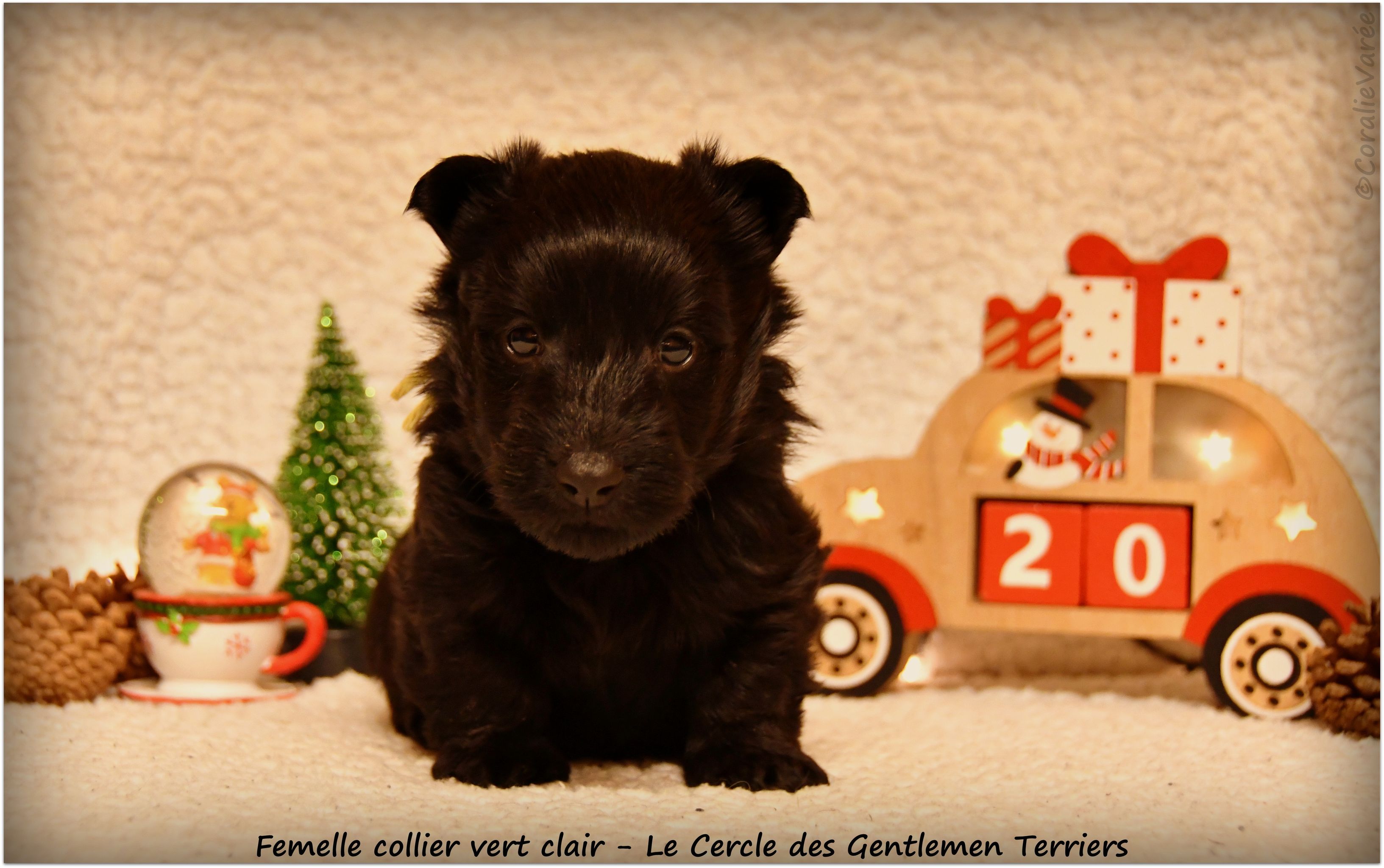 1 mois