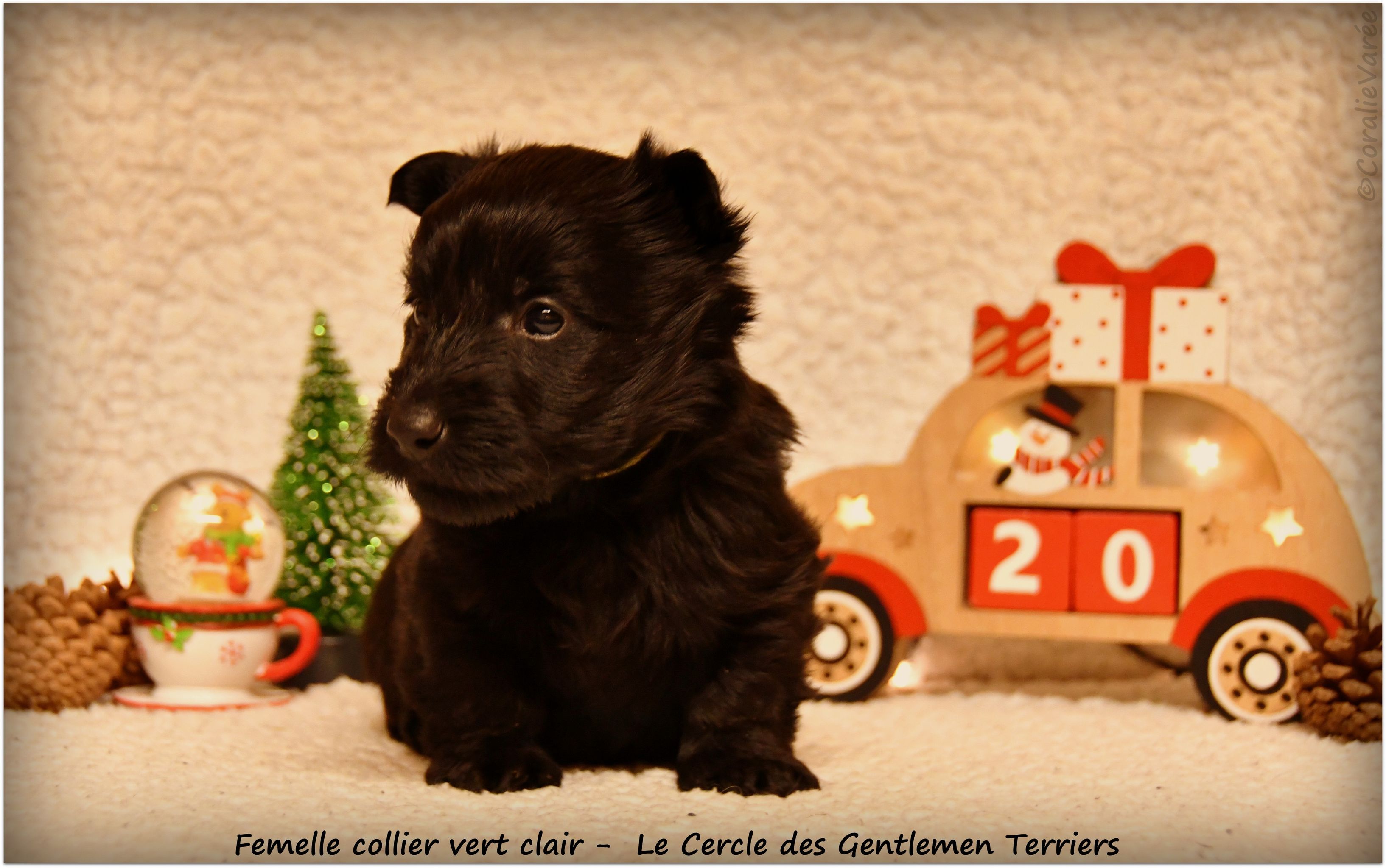 1 mois