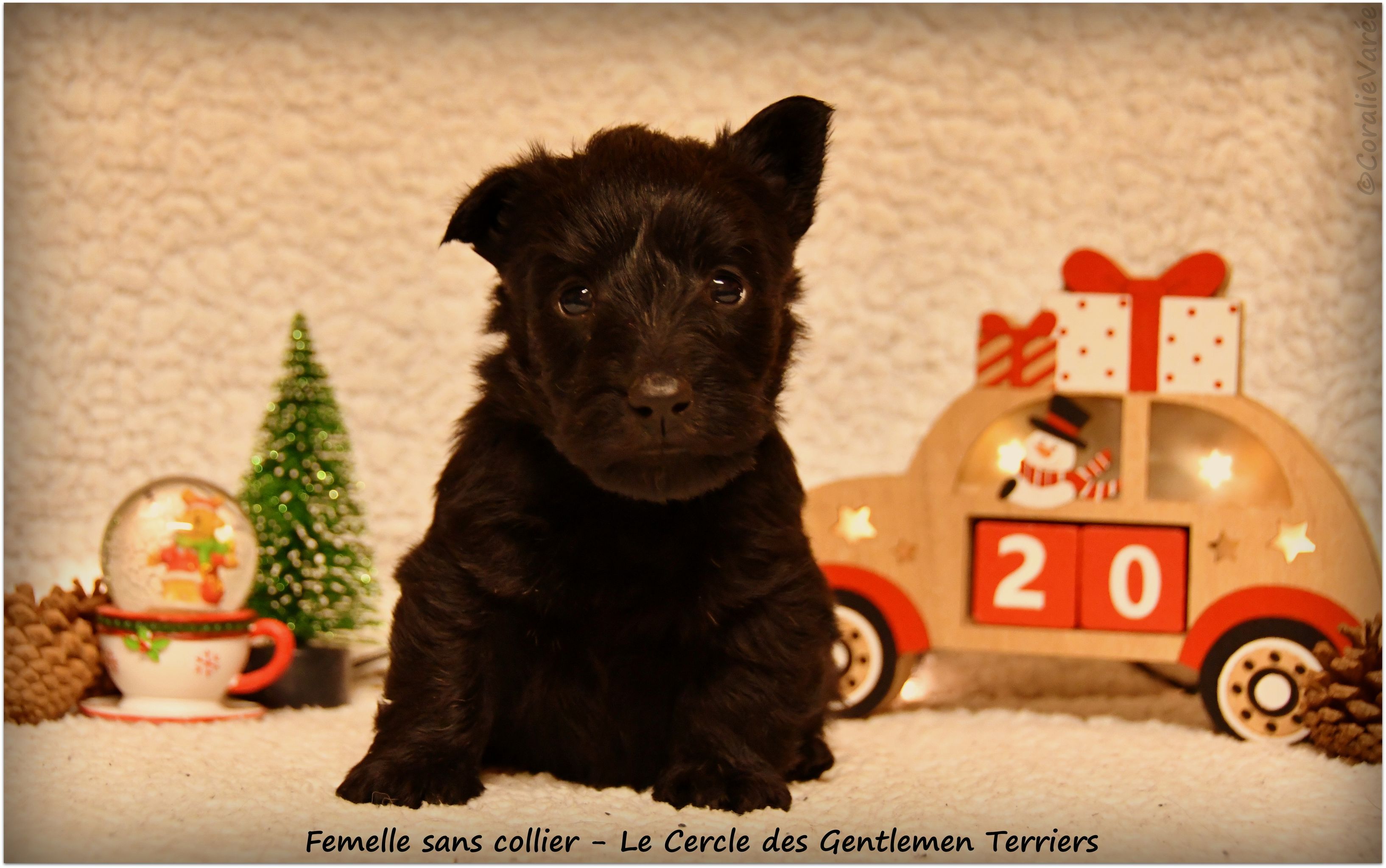 1 mois