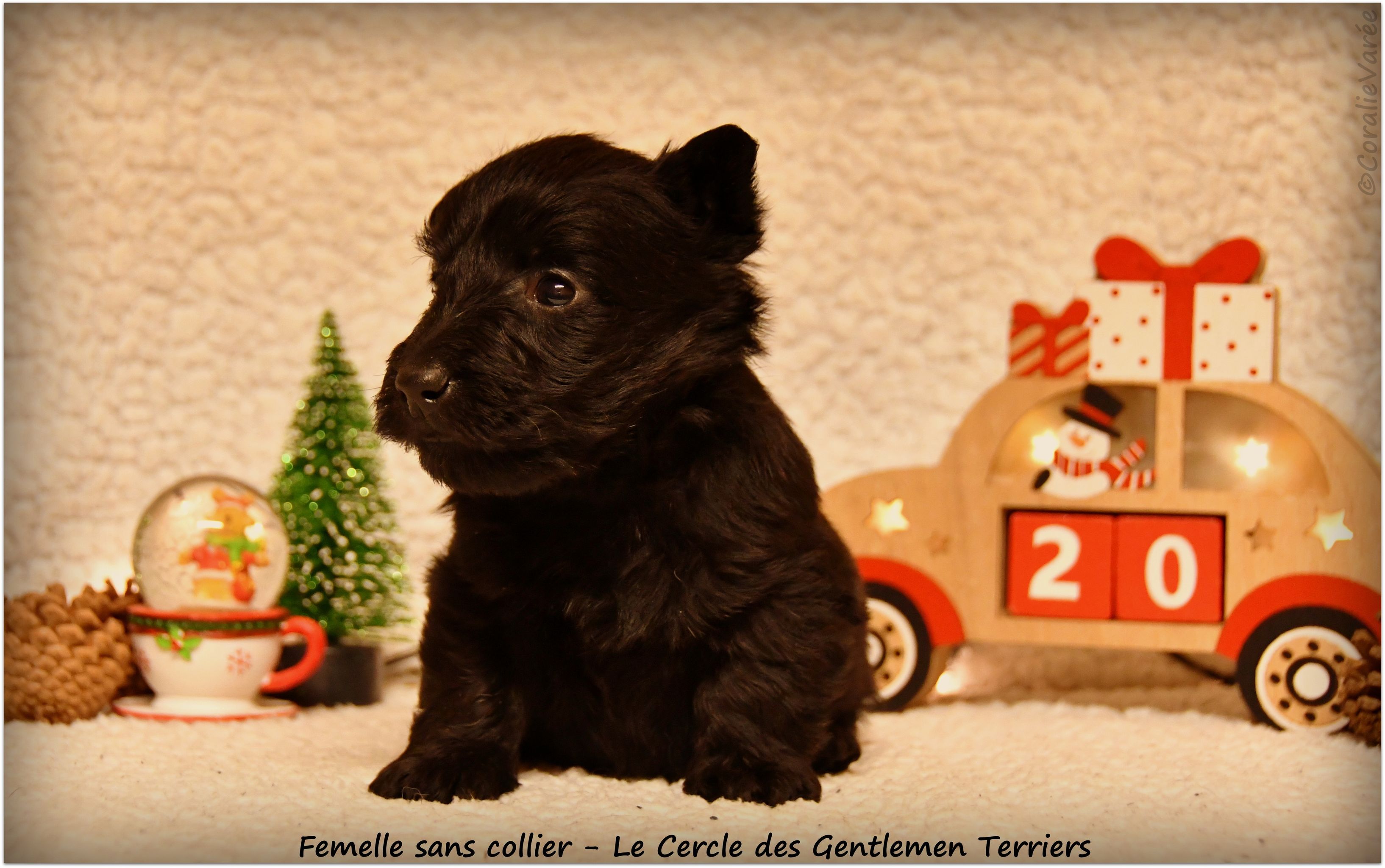 1 mois