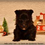 1 mois