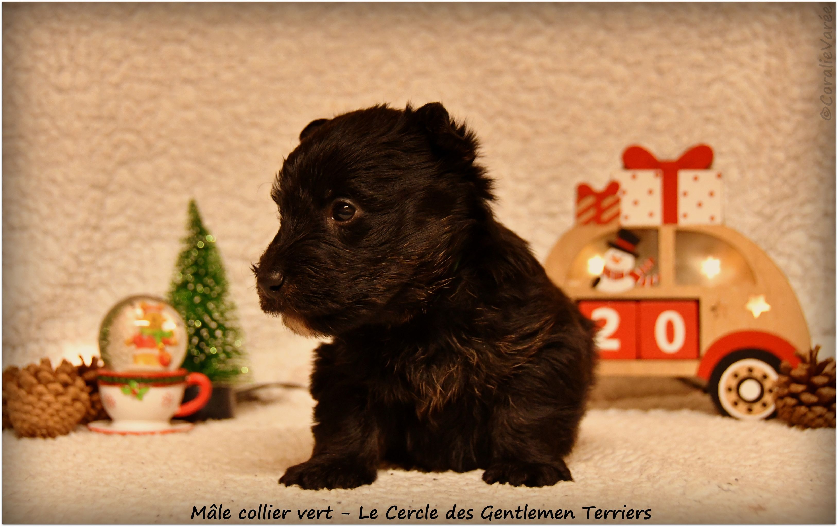 1 mois