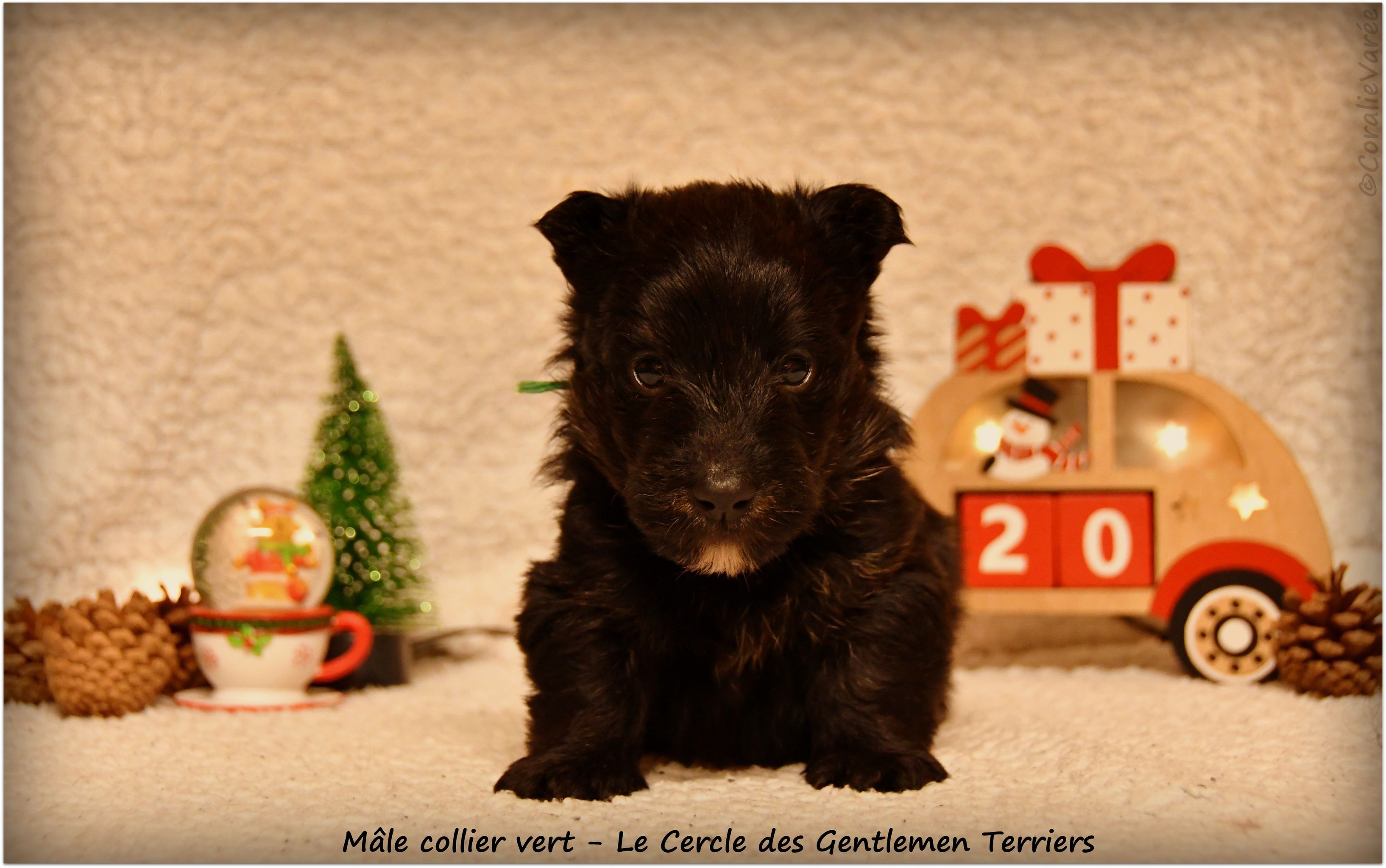 1 mois