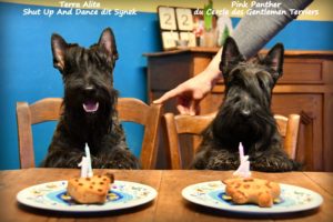 Anniversaires Sinek 1 an et Pink 4 ans