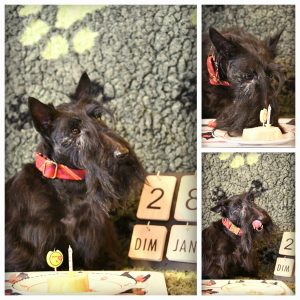 Anniversaire Sydney 4 ans
