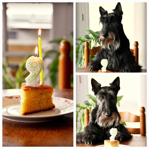Anniversaire Lady 9 ans