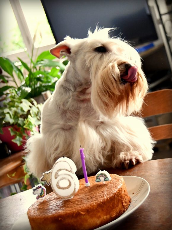 Anniversaire Octavia 5 ans2