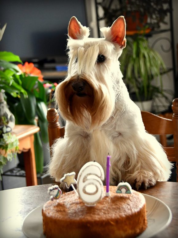 Anniversaire Octavia 6 ans
