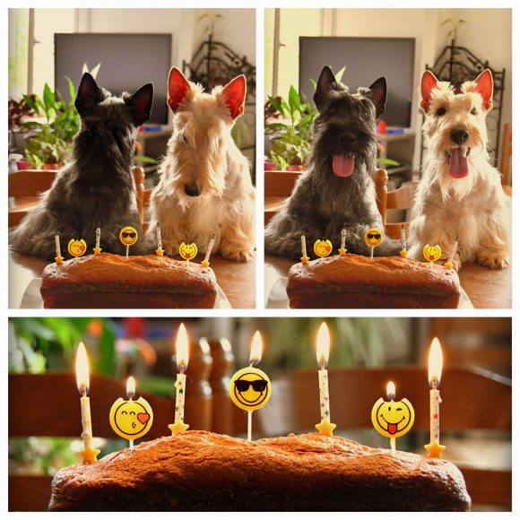 Anniversaire Uguette Mélodie 1an