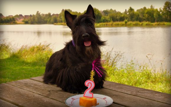 Anniv Tina 2 ans 2