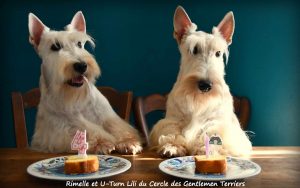lili 1 an rimelle 4 an 2