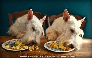 lili 1 an rimelle 4 an3