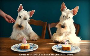 lili 1 an rimelle 4 anx