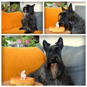 Anniversaire Lou 6 ans