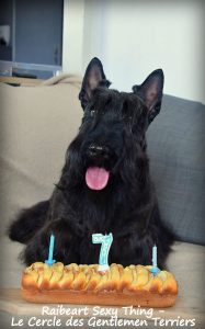 Anniversaire Rocco 7 ans